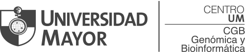 Universidad Mayor