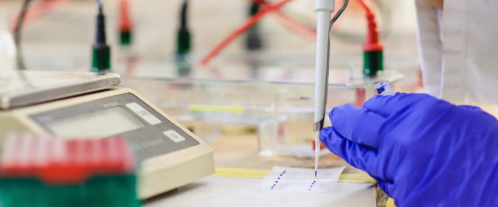 Entrenando la nueva generación de Científicos en Genómica y Bioinformática