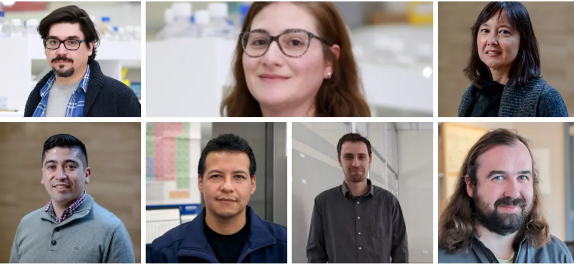 Investigadores Principales