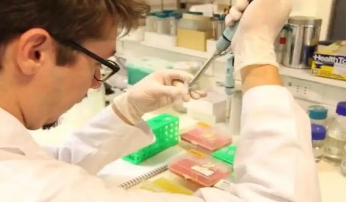 Investigador U. Mayor descubre proteína clave para incrementar el crecimiento de las plantas y disminuir el uso de fertilizantes